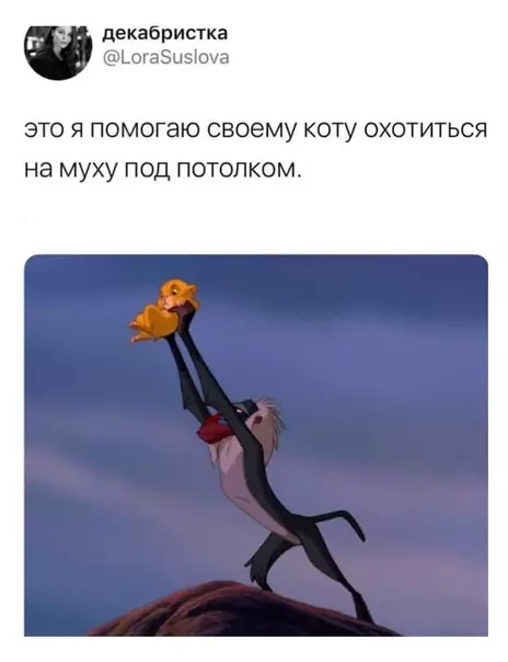 Смешная картинка №482492