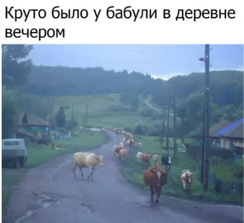 Смешная картинка №247691