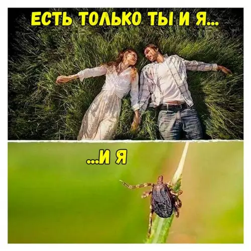 Смешная картинка №272395
