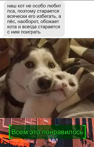 Смешная картинка №681112 Животные