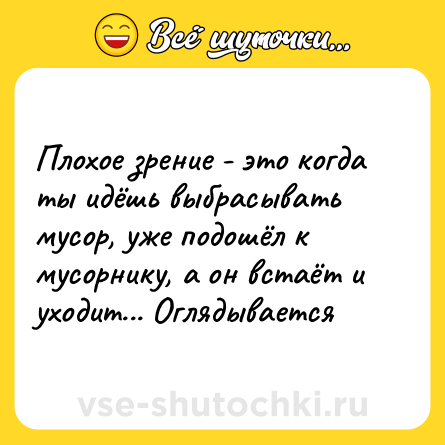 Шутка: Плохое зрение - это когда ты идёшь выбрасывать мусор, уже подошёл к мусорнику, а он встаёт и уходит... Оглядывается