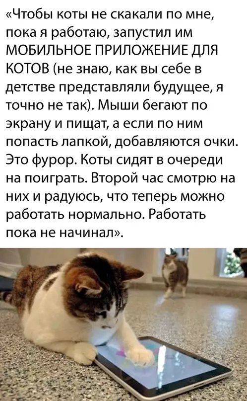 Смешная картинка №645894