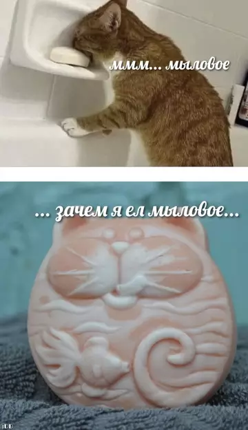 Смешная картинка №771722
