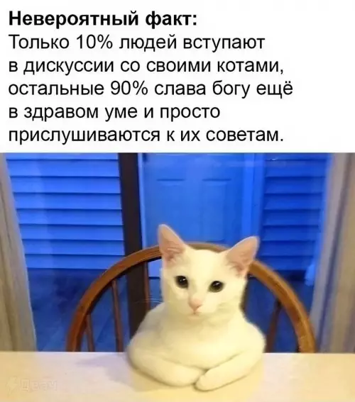 Смешная картинка №787384