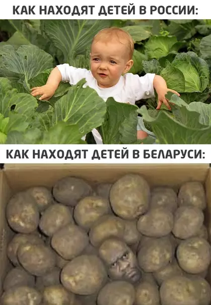 Смешная картинка №523630