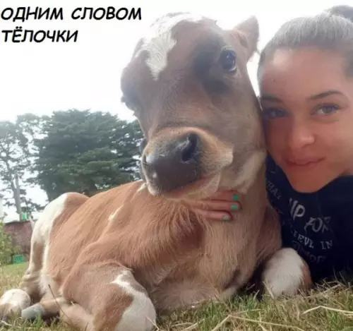Смешная картинка №282390