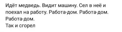 Смешная картинка №720482 медведи