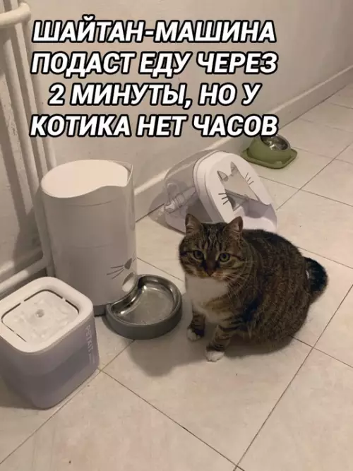 продолжение Смешная картинка №766992