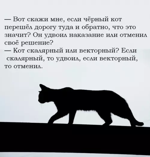 Смешная картинка №361746 коты