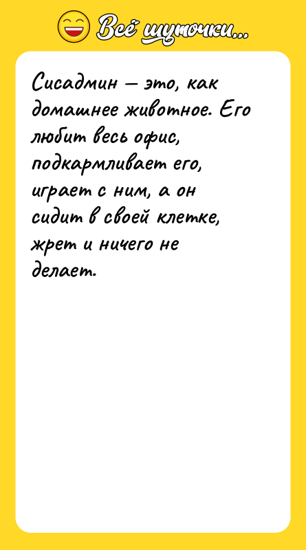 Сисадмин — это, как домашнее животное. Его любит весь офис,
