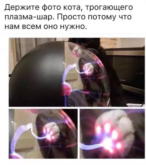Смешная картинка №446512 Это просто шикарно.