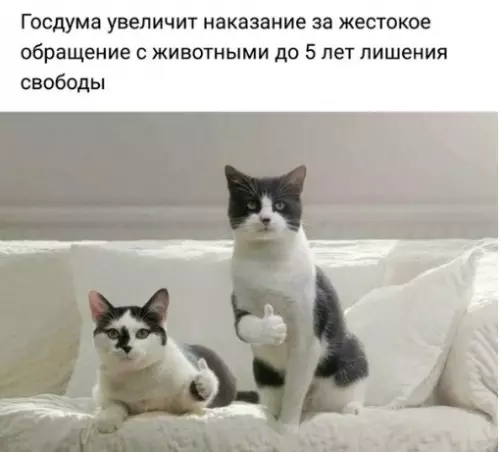 Смешная картинка №228871