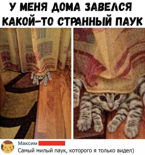 Смешная картинка №367409