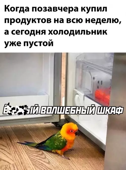 Смешная картинка №651946