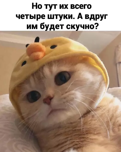 продолжение Смешная картинка №572974 Moи тepзaния кaждый paз