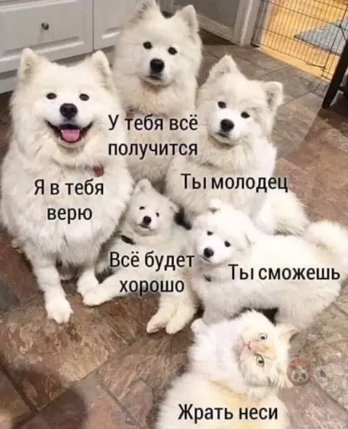 Смешная картинка №619139 Вся разница: