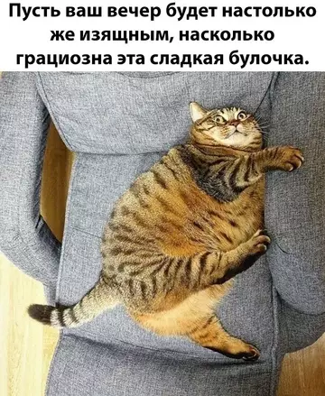 Смешная картинка №769626