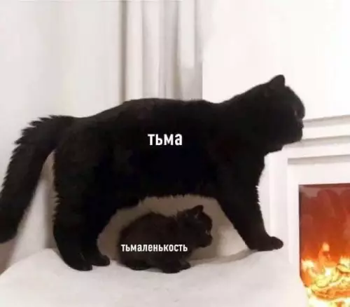 Смешная картинка №785415