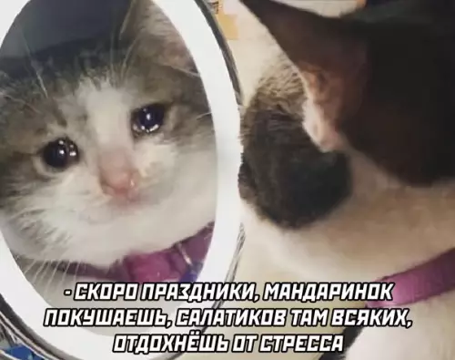 продолжение Смешная картинка №616477