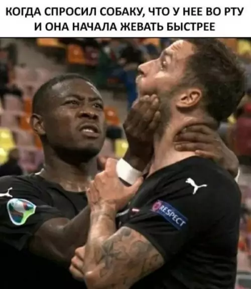 Смешная картинка №647281