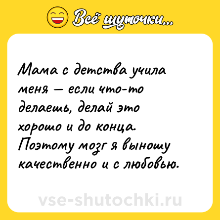 Шутка: Мама с детства учила меня — если что-то делаешь, делай это хорошо и до конца. Поэтому мозг я выношу качественно и с любовью.