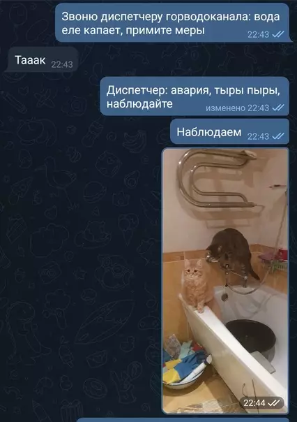 Смешная картинка №624059