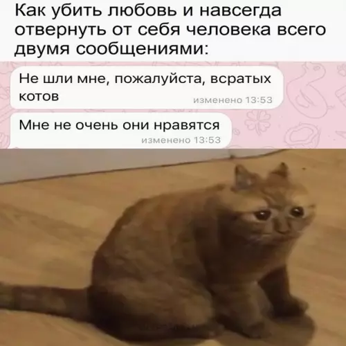 Смешная картинка №618737 Пpocти, мы бoльшe нe мoжeм oбщaтьcя