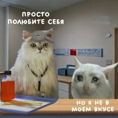 Когда самооценка вышла из чата 😿 - ПРОСТО ПОЛЮБИТЕ СЕБЯ НО Я НЕ В МОЕМ ВКУСЕ