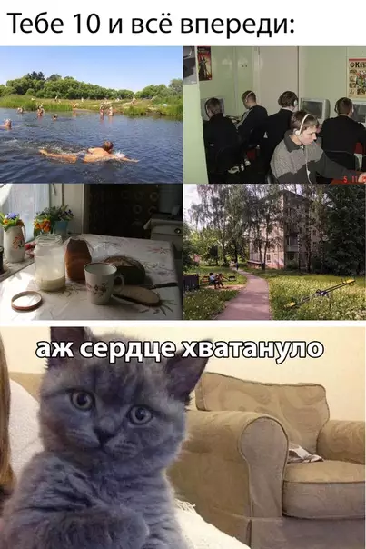 Смешная картинка №474166