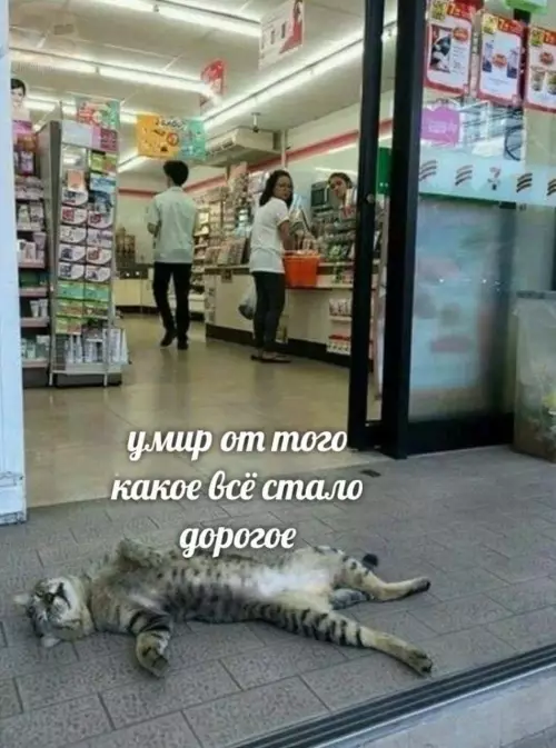 Смешная картинка №785061