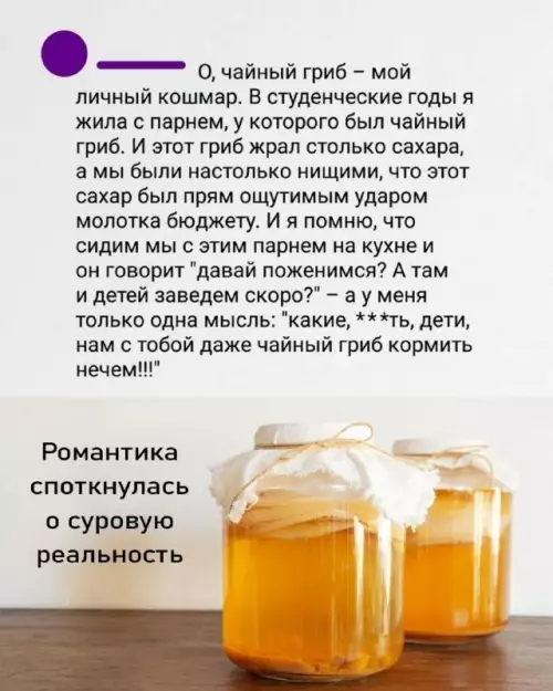 Когда романтика разбилась о чайный гриб 🍄 - О, чайный гриб мой личный кошмар. В студенческие годы я