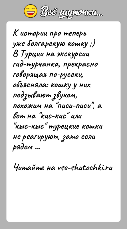 История: К истории про теперь уже болгарскую кошку )В Турции на экскурсии гид-турчанка, прекрасно говорящая по-русски, объясняла: кошку у них подзывают