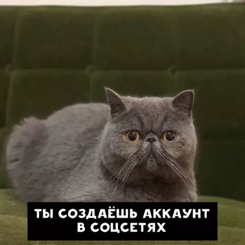 Смешная картинка №416255 Зачем, человек?