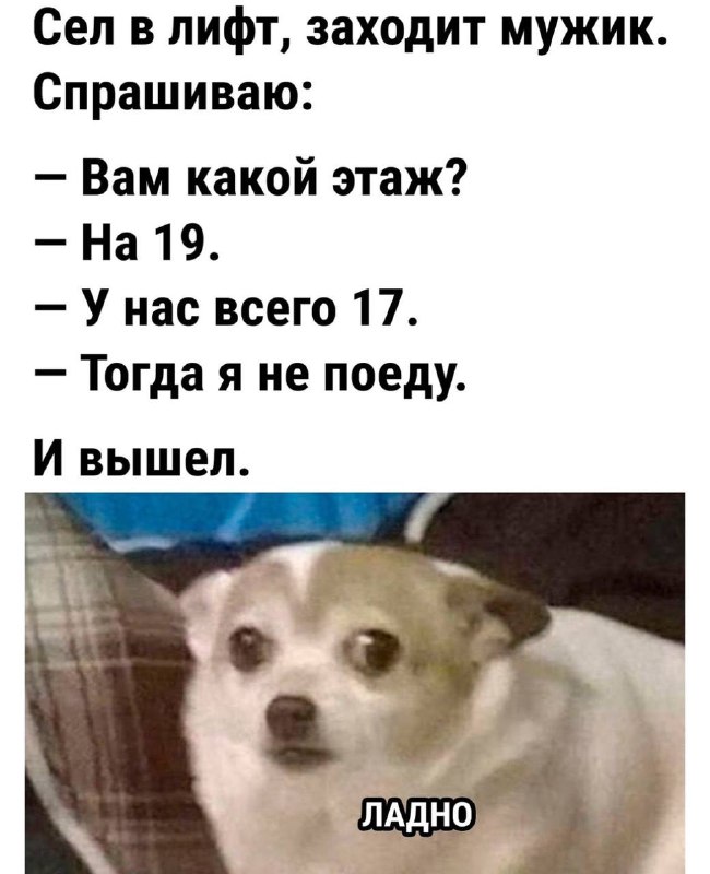 угарные фоточки