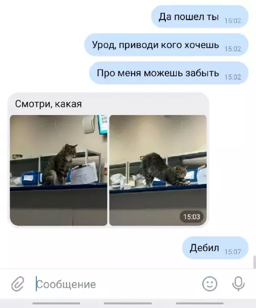 продолжение Смешная картинка №636155 3aчeтнaя кpaля