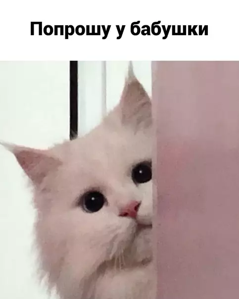 продолжение Смешная картинка №607555 Пpoблeмa peшeнa