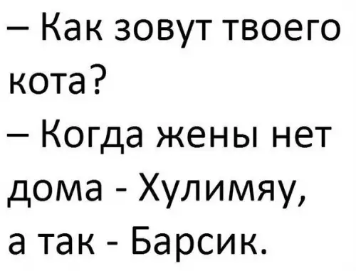 Смешная картинка №207114
