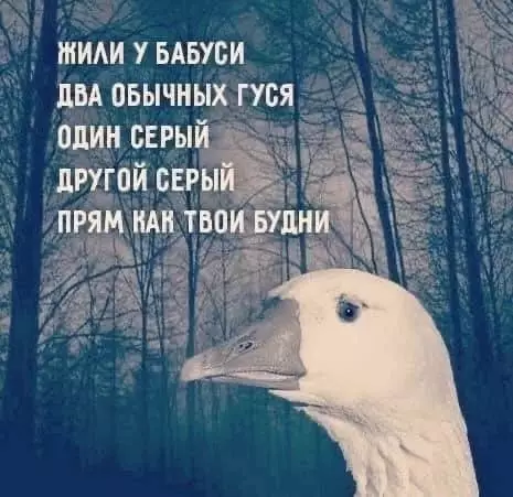 Смешная картинка №679338