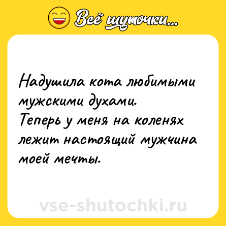 Шутка: Надушила кота любимыми мужскими духами.  <br>Теперь у меня на коленях лежит настоящий мужчина моей мечты.