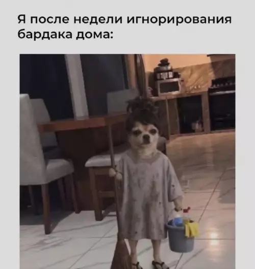Когда решил стать хозяином своей жизни 🧹 - Я после недели игнорирования бардака дома: