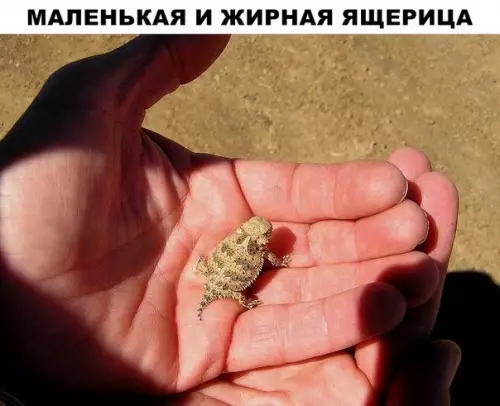Смешная картинка №293830