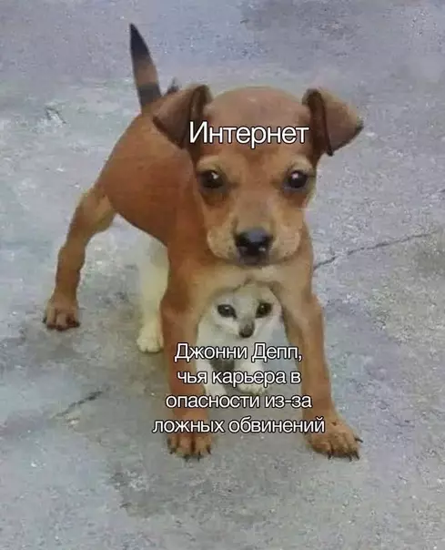 Смешная картинка №537413 Здравый смысл, приди