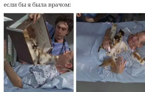 Смешная картинка №258617