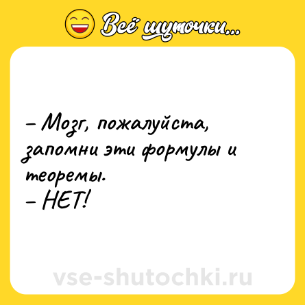 Шутка: – Мозг, пожалуйста, запомни эти формулы и теоремы.<br>– НЕТ!