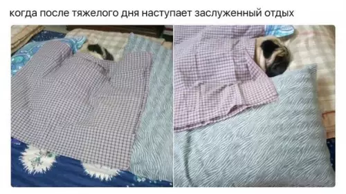 Смешная картинка №266288