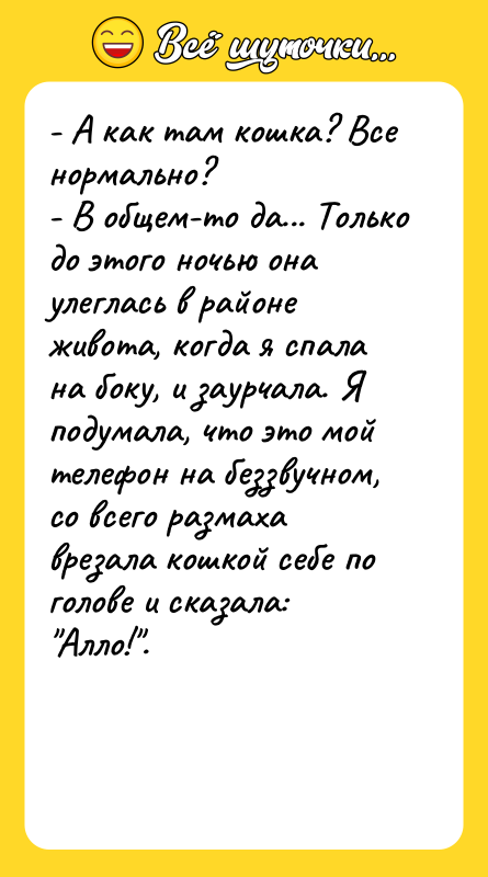 - А как там кошка? Все нормально? - В общем-то