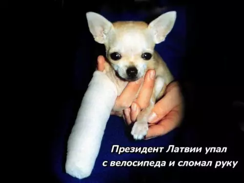 Смешная картинка №780150 Рука Москвы