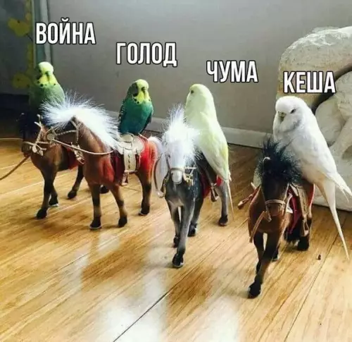 Смешная картинка №331668 4 всадника апокалипсиса