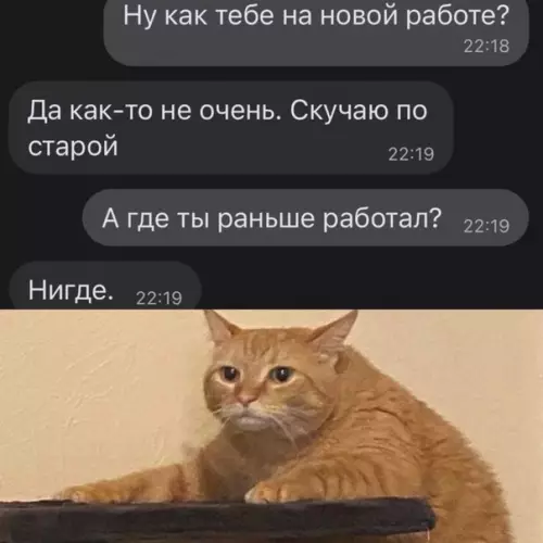 Смешная картинка №625160 Понимaeм