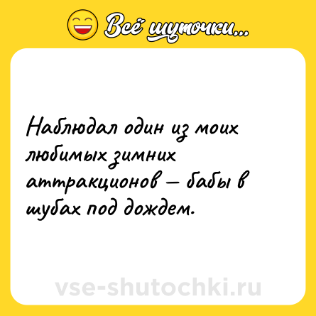 Шутка: Наблюдал один из моих любимых зимних аттракционов — бабы в шубах под дождем.